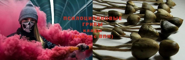 бошки Волоколамск