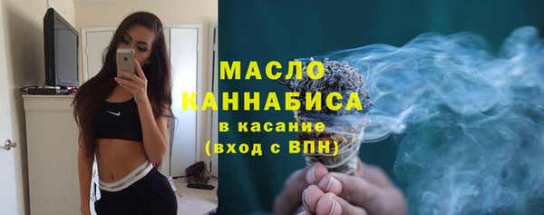 амф Вяземский