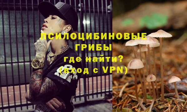 бошки Волоколамск