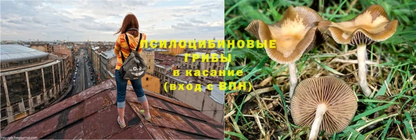 прущий лед Вязьма